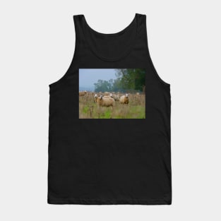 Sheeps Tank Top